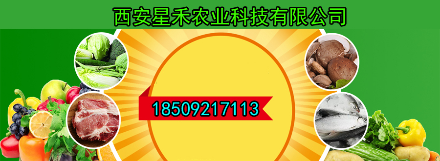TA111111111.jpg